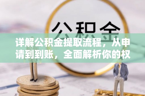 卫东详解公积金提取流程，从申请到到账，全面解析你的权益与操作步骤