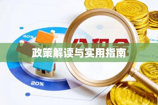 卫东政策解读与实用指南