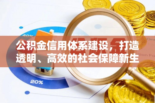 卫东公积金信用体系建设，打造透明、高效的社会保障新生态