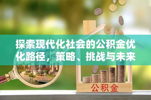 卫东探索现代化社会的公积金优化路径，策略、挑战与未来展望