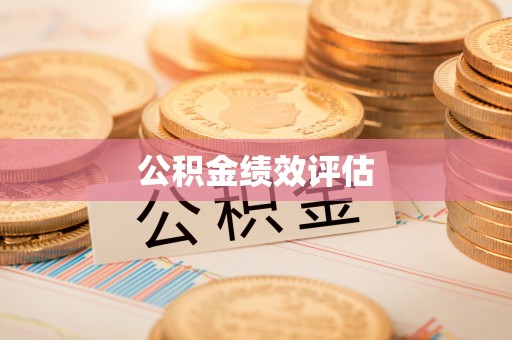 卫东公积金绩效评估