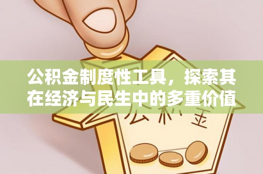 卫东公积金制度性工具，探索其在经济与民生中的多重价值