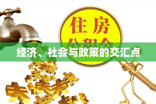 卫东经济、社会与政策的交汇点