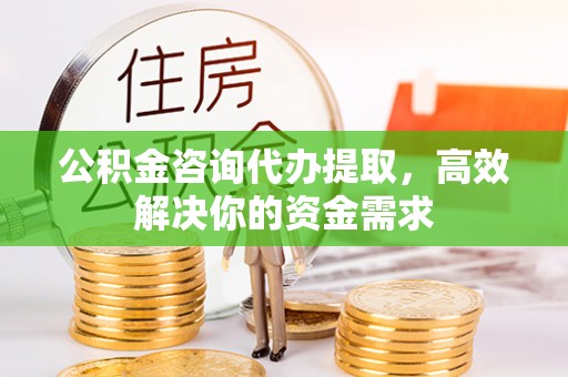 卫东公积金咨询代办提取，高效解决你的资金需求