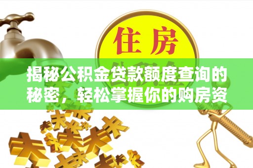 卫东揭秘公积金贷款额度查询的秘密，轻松掌握你的购房资金