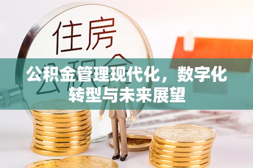 卫东公积金管理现代化，数字化转型与未来展望