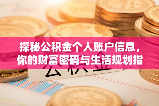 卫东探秘公积金个人账户信息，你的财富密码与生活规划指南