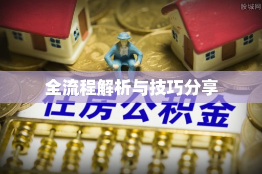 卫东全流程解析与技巧分享